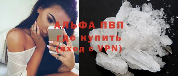 прущие грибы Покровск
