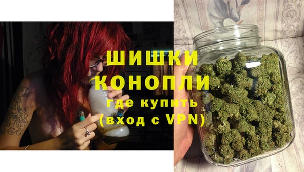 марки lsd Новозыбков