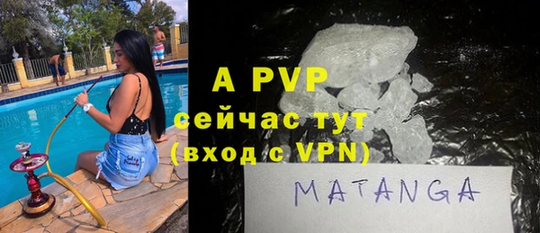 прущие грибы Покровск